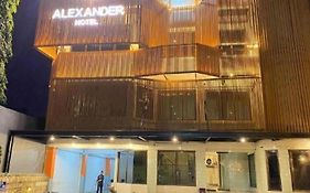Alexander Hotel Tegal